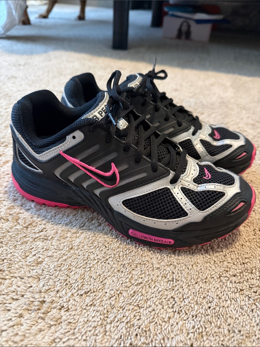 Nike Women's Air Pegasus